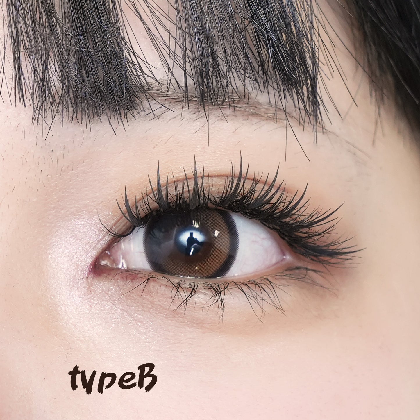 Anime Lashes アニメラッシュ