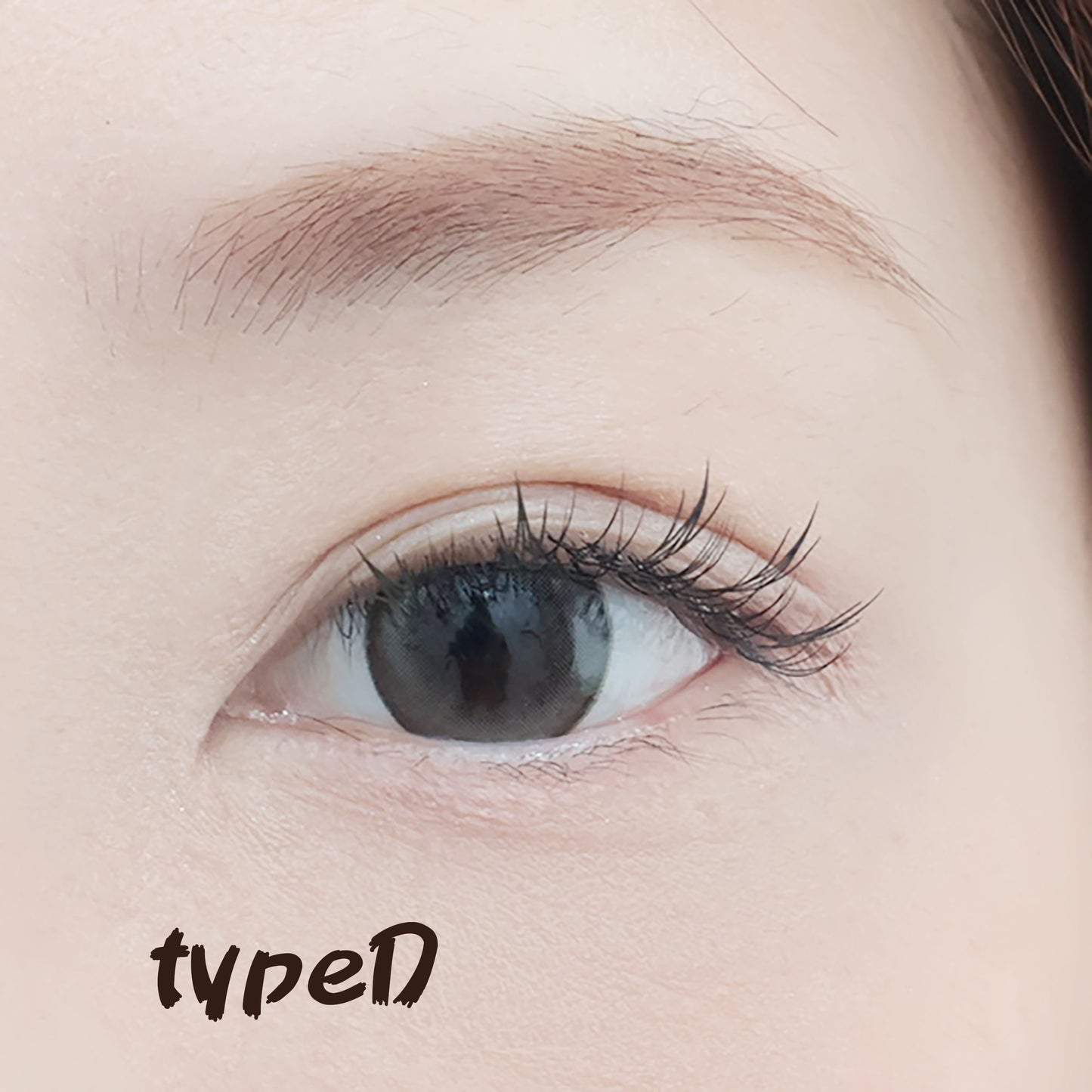 Anime Lashes アニメラッシュ